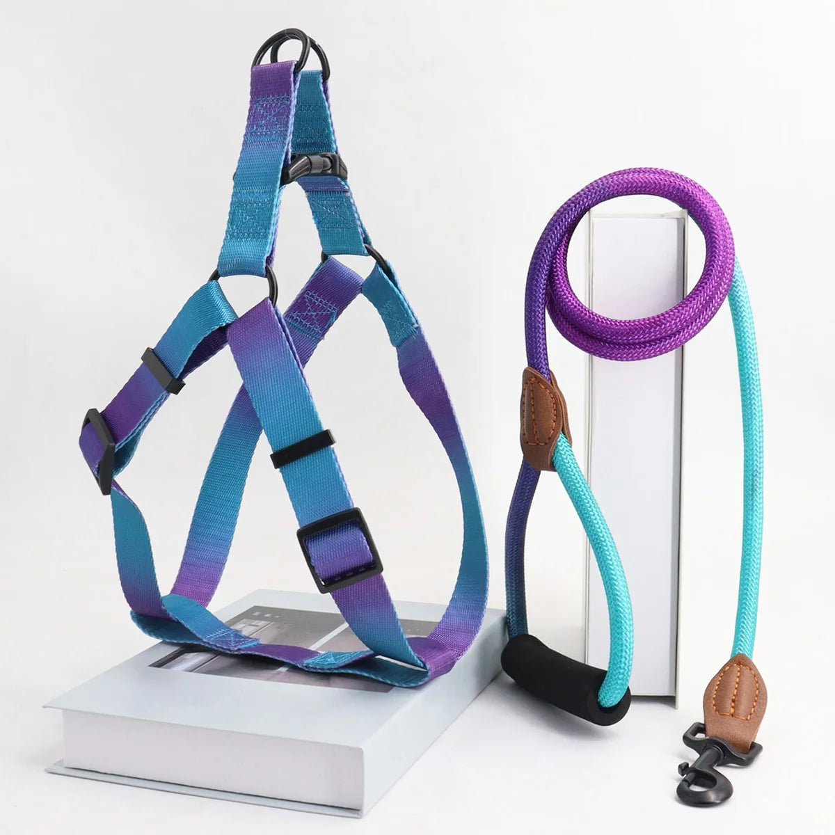 A Set Of Colorful Pet Harness With Leash, Dog Leash