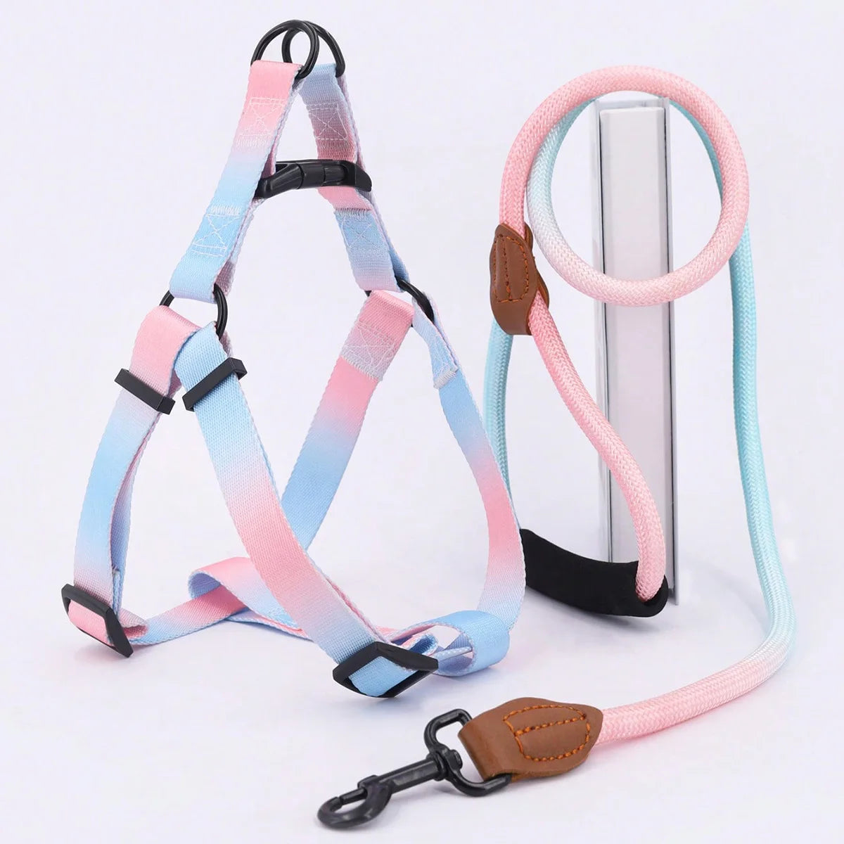 A Set Of Colorful Pet Harness With Leash, Dog Leash