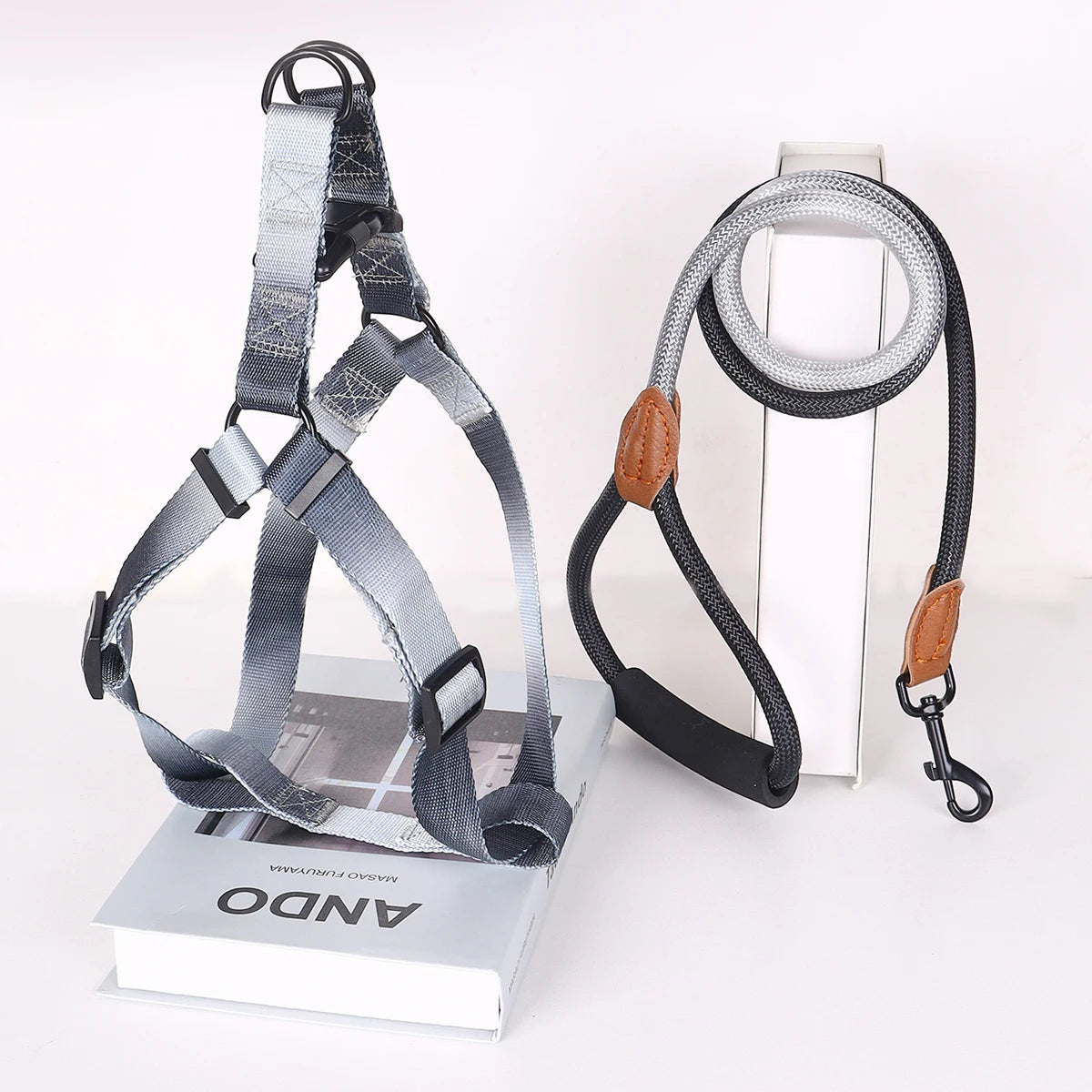 A Set Of Colorful Pet Harness With Leash, Dog Leash