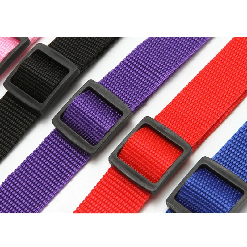 Pet Car Harness, Dog Harness, Cat Harness, Pet Car Seat Belt