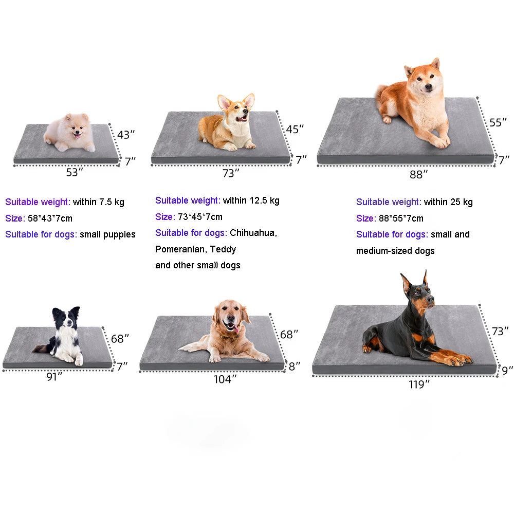 Orthopedic Dog Bed, Orthopedic Cat Bed, Orthopedic Pet Bed